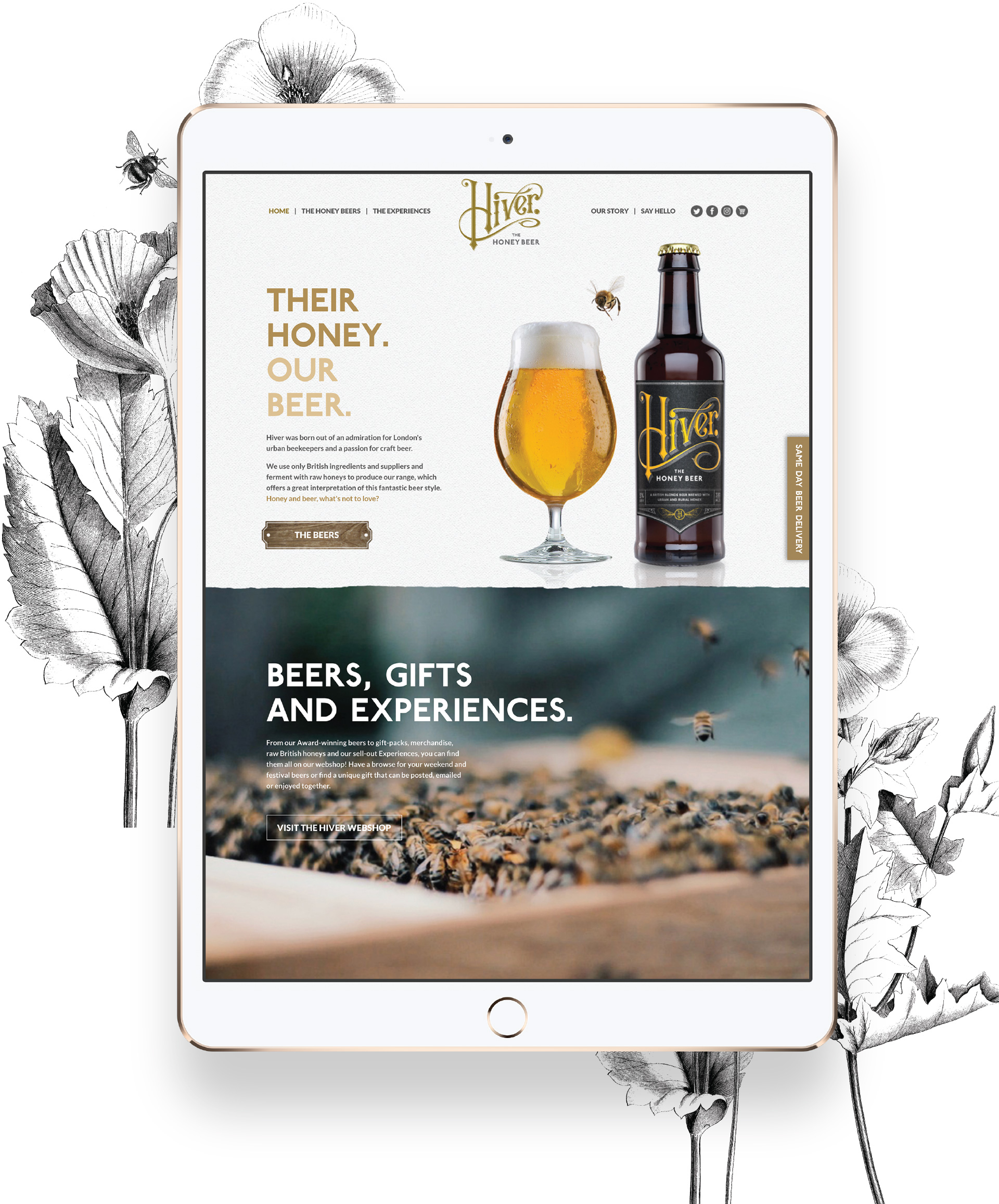 Hiver Beers Packaging and Website Design